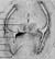 Figure 17.10