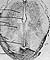 Figure 17.20
