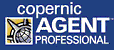 Copernic Report on Metaphysics
